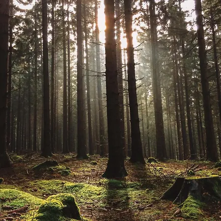 Апартаменты Charging Station Woffelsbach *