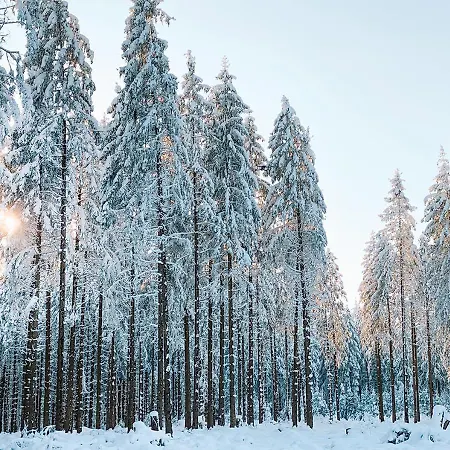 Charging Station Woffelsbach * Зиммерат