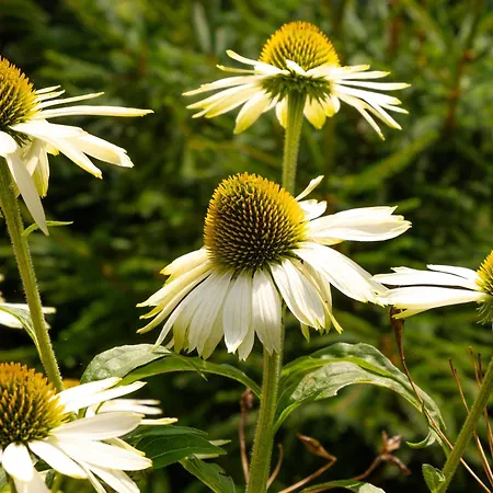 Charging Station Woffelsbach Зиммерат