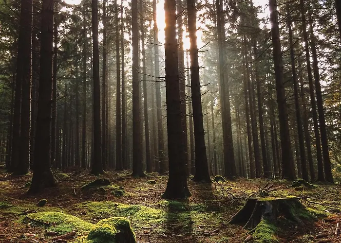 דירה Charging Station Woffelsbach *