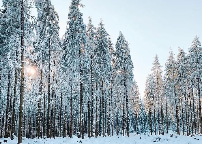 Charging Station Woffelsbach * זימראת'