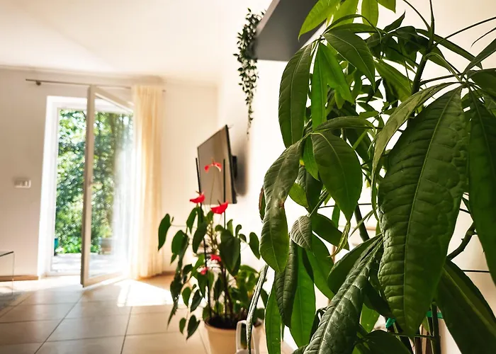 Charging Station Woffelsbach זימראת'