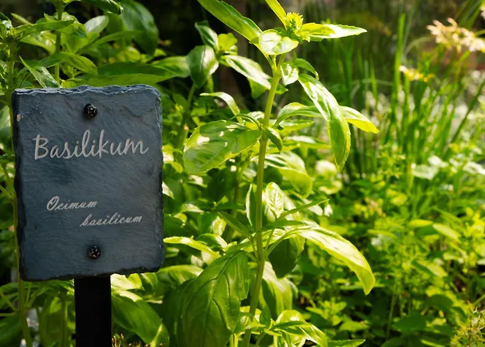 דירה Charging Station Woffelsbach זימראת'